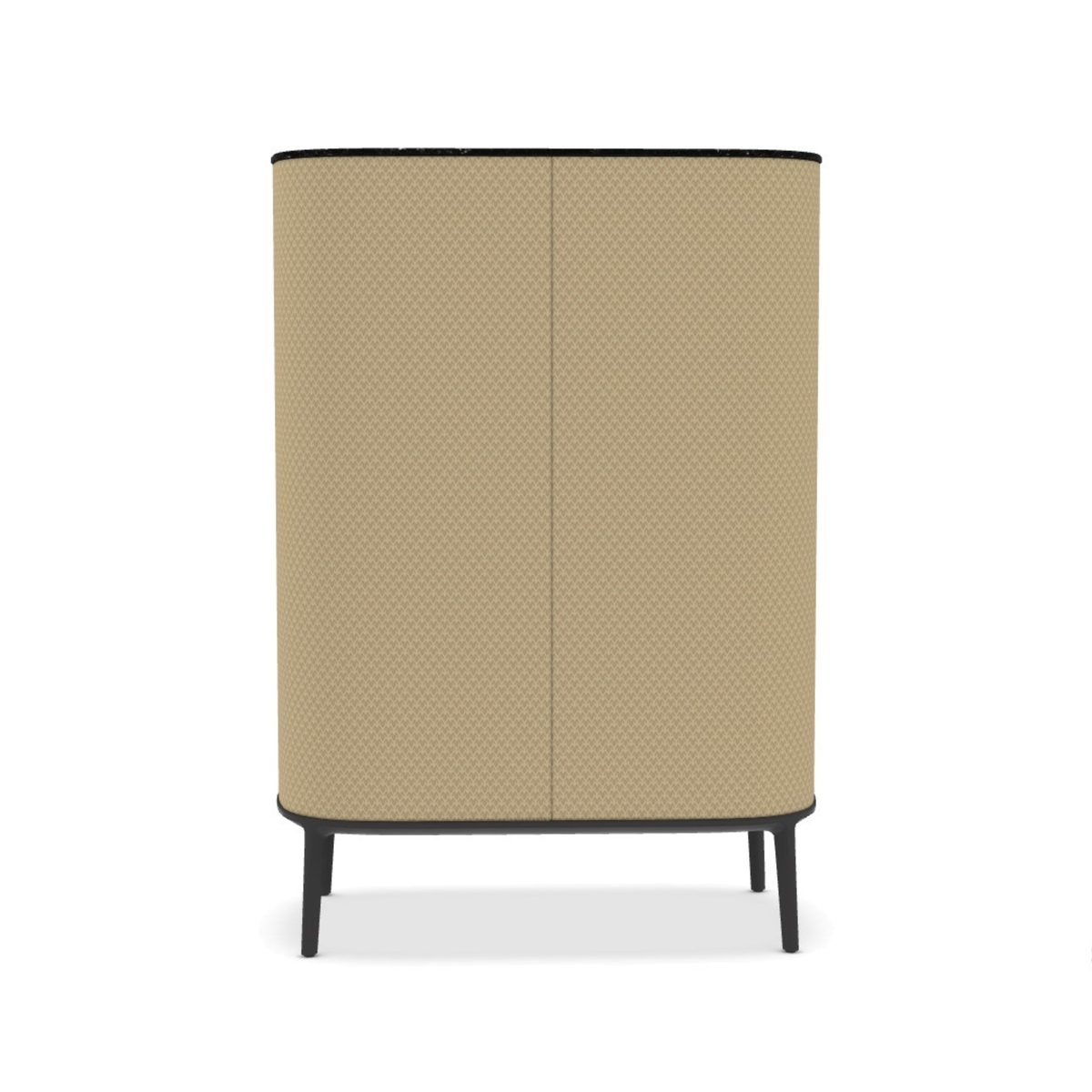 Tesaurus Storage Unit with 2 Hinged Doors